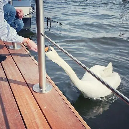 Dom wakacyjny Hausboot Aurora Mit Grossem Sonnendeck *
